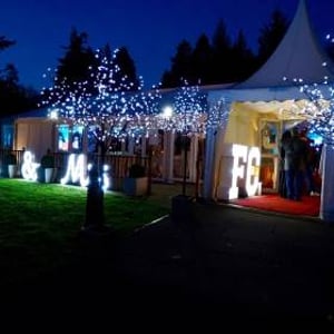 Our Blossom Trees and letter's