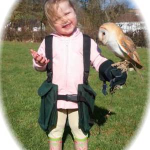 Experiences open to almost all age groups