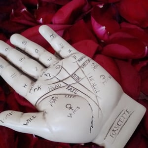 Palmist taken by spiritualevents.co.uk 2020 all copyright is our ownership 2026 onwards