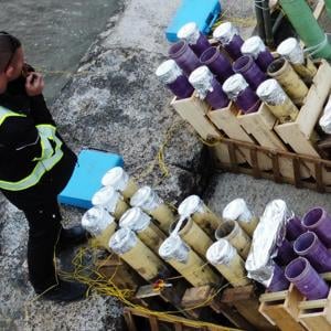 Professional Firework Displays