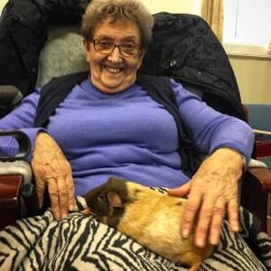 Animals as therapy and care home visits available