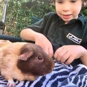 Get up close and personal to our habituated and trained Animal Ambassadors!