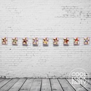 coollookparty_amelie_bunting