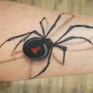 3D Spider
