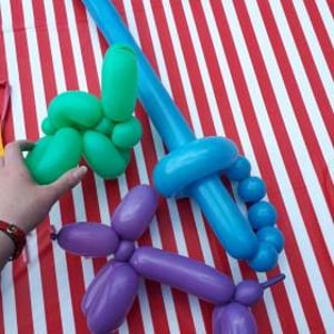 Rabbits and swords and dogs oh my!