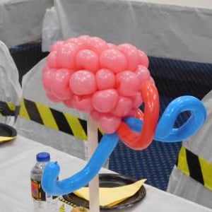 Brain for a Science Party
