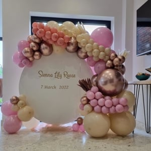 Circle White Backdrop