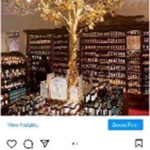 Gold leaf, golden orange tree. 