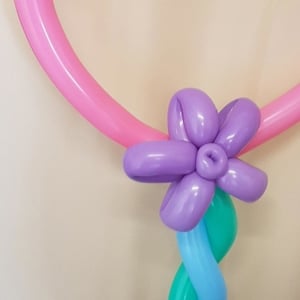 Heart balloon modelling