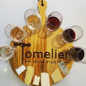 cheese and wine tasting