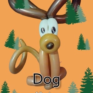 Balloon dog 