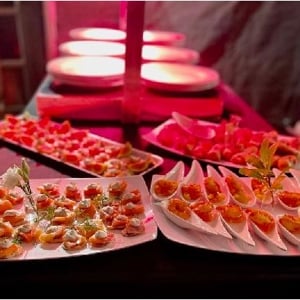 EpiCatering Mixed Canapés