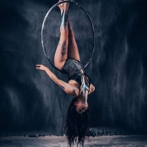 Aerial Hoop Artists