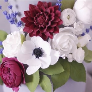 Dahlia David Austin rose flowers