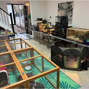 Party set up inside someone's house