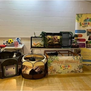 One of our party set ups in a hall