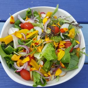 colourful_salad