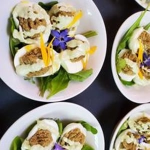 georgia starters.jpg