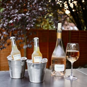 Noam Lager & Miraval Sainte Victoire.jpeg