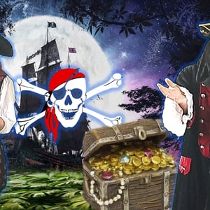 Dromeo & Tilly Pirarest Parties.png