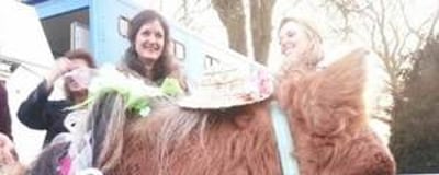 Stanwick Party Ponies