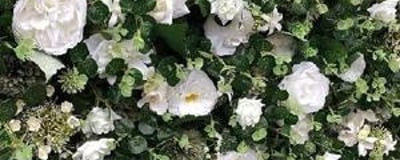 Greenery Flower Wall