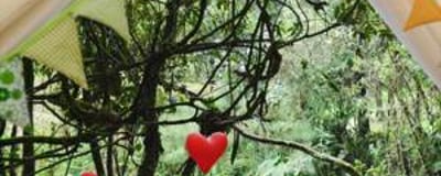 istock silver package jpg