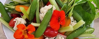 Crudités sweet pea hummus dip