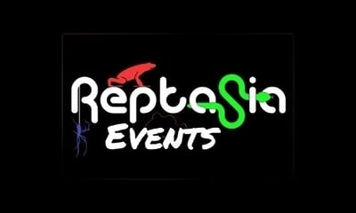 1 hour reptile handling experience