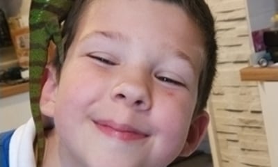 1.5 hour party package getting hands on with a range of reptiles