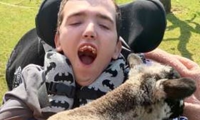 Amazing Animal Encounters