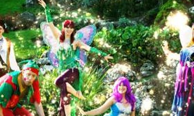 Felicity Fairy and Friends
