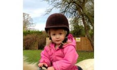 Halona Horses Ltd Pony Party