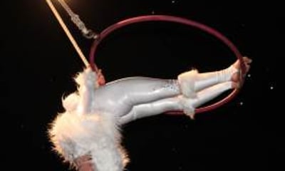 Ana Cerrato Freelance Aerialist