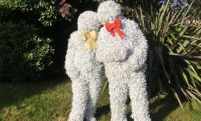 Statueman Living Statues