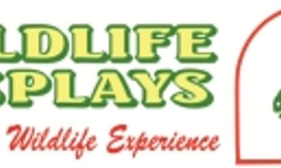Wildlife Displays