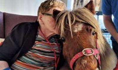 Lollipop Pony Parties