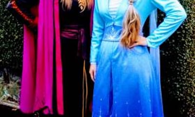 Fairytale Party Visits