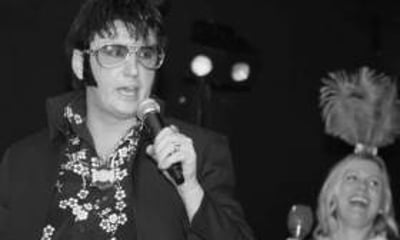 ELVIS in CONCERT by ANDY JAMES