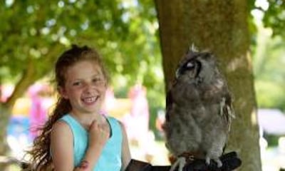 UK Owl and Raptor Centre