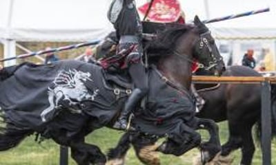 The Cavalry of Heroes