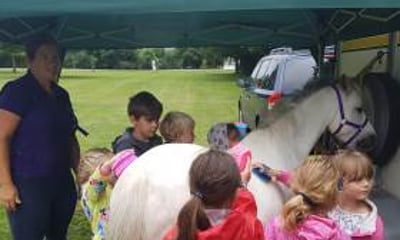 Suffolk Pony Parties & Events