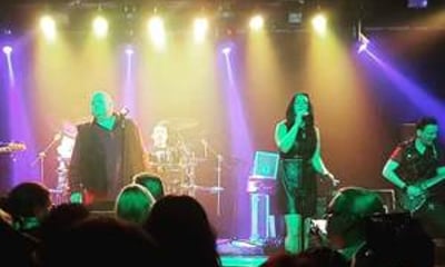 Maetloaf and the Never Neverland Express