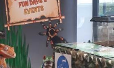 Bug Biz Exotic Animal Encounters