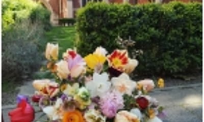 Serendipity Botanist Ltd