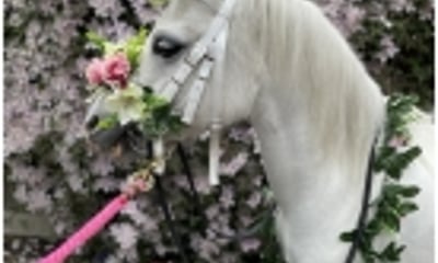 The Ramblers Riding Club And Pony Parties