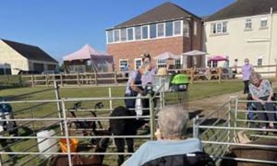 Happy Hooves Mobile Mini Farm