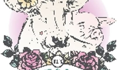 Fork Off it’s VEGAN Ltd.