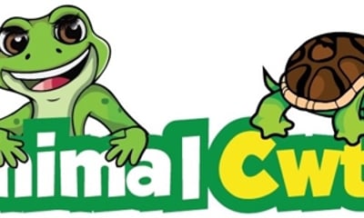 Animal Cwtch