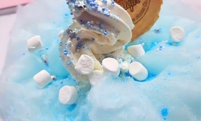 The Pretty Parlour ice cream Company